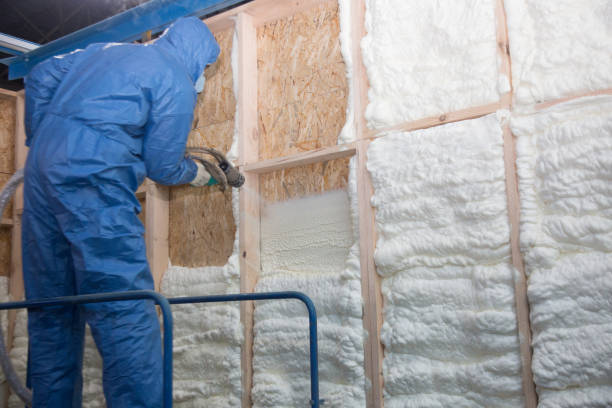 Trusted Catalina, AZ Insulation Services Experts